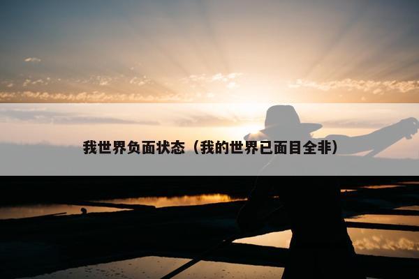 我世界负面状态（我的世界已面目全非）