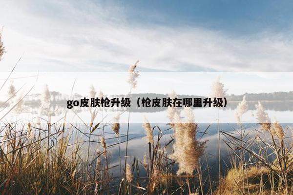 go皮肤枪升级（枪皮肤在哪里升级）
