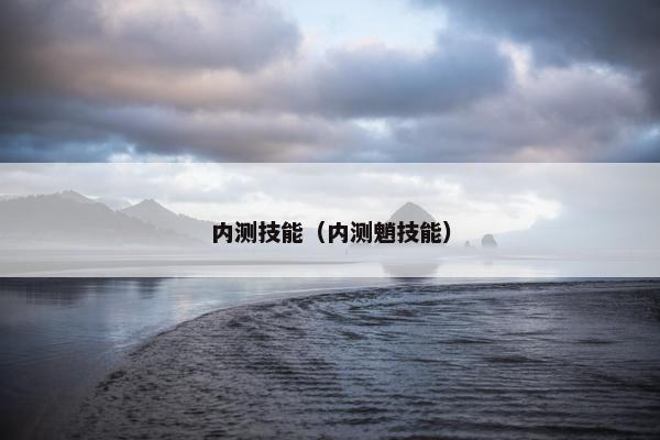 内测技能（内测魈技能）
