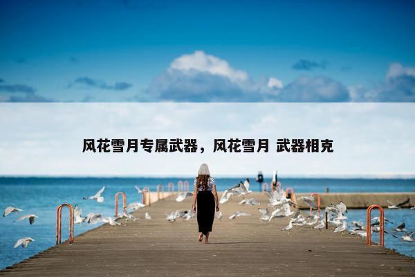 风花雪月专属武器，风花雪月 武器相克