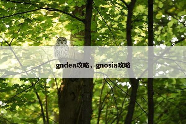 gndea攻略，gnosia攻略
