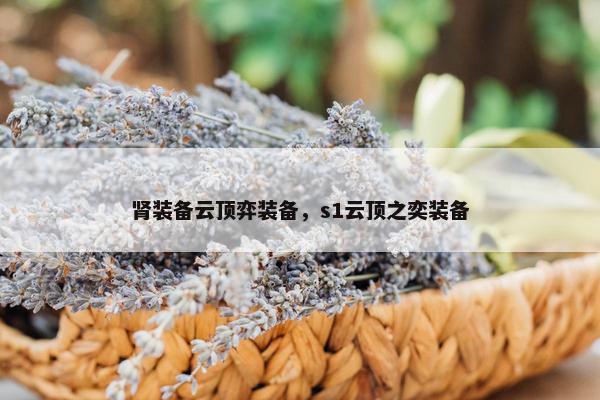 肾装备云顶弈装备，s1云顶之奕装备