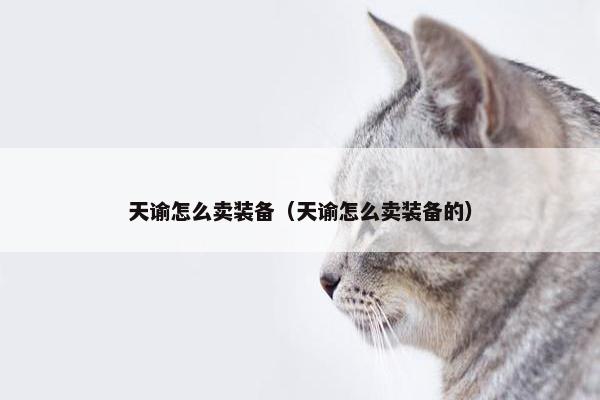 天谕怎么卖装备（天谕怎么卖装备的）