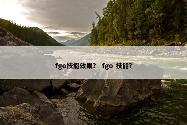 fgo技能效果？ fgo 技能？
