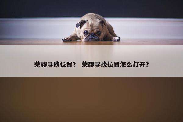 荣耀寻找位置？ 荣耀寻找位置怎么打开？