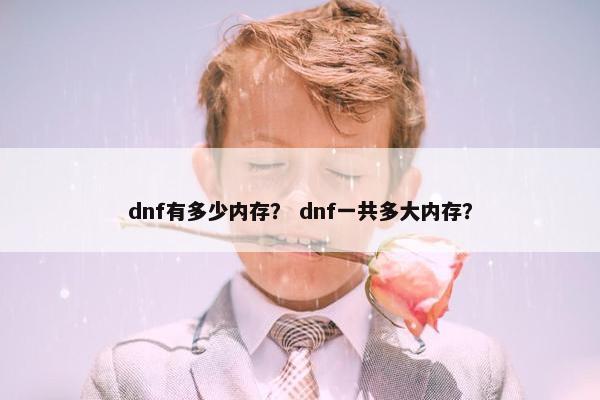 dnf有多少内存？ dnf一共多大内存？