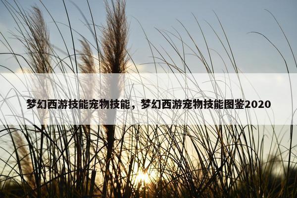 梦幻西游技能宠物技能，梦幻西游宠物技能图鉴2020