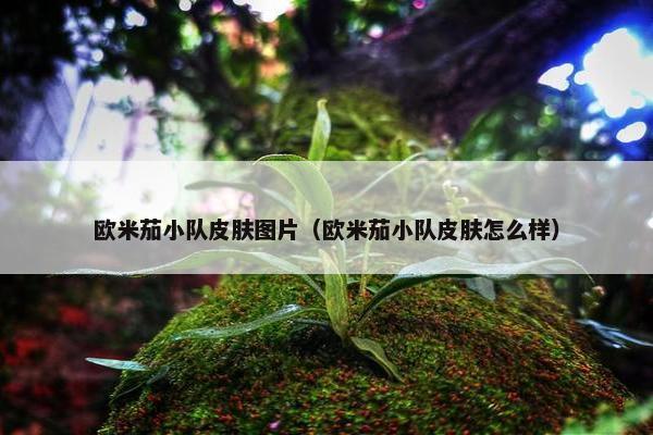 欧米茄小队皮肤图片（欧米茄小队皮肤怎么样）