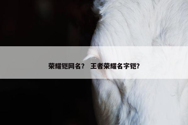 荣耀铠网名？ 王者荣耀名字铠？