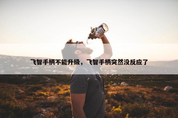 飞智手柄不能升级，飞智手柄突然没反应了