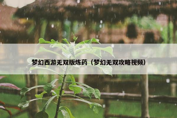 梦幻西游无双版炼药（梦幻无双攻略视频）