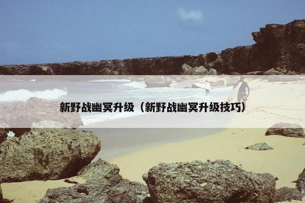 新野战幽冥升级（新野战幽冥升级技巧）
