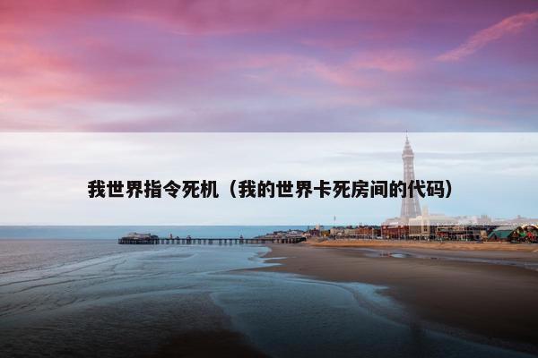 我世界指令死机（我的世界卡死房间的代码）