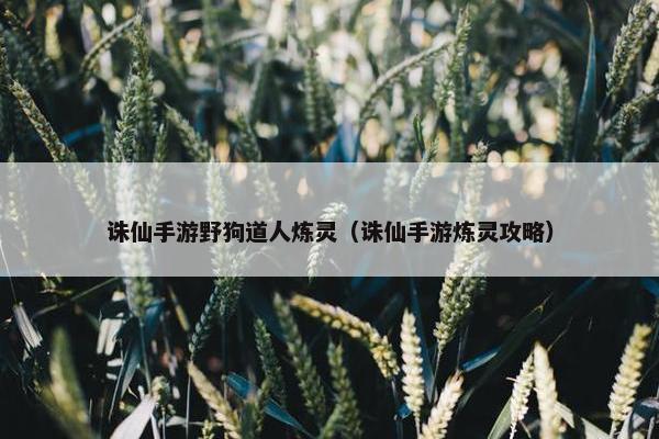 诛仙手游野狗道人炼灵（诛仙手游炼灵攻略）