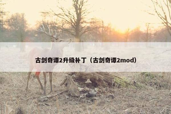 古剑奇谭2升级补丁（古剑奇谭2mod）