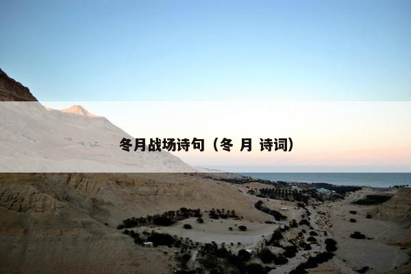 冬月战场诗句（冬 月 诗词）