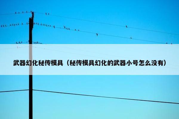 武器幻化秘传模具（秘传模具幻化的武器小号怎么没有）