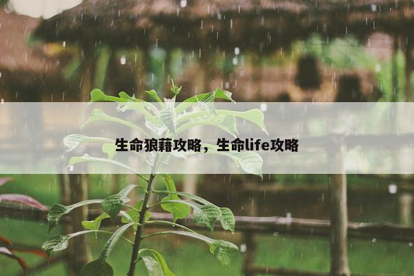 生命狼藉攻略，生命life攻略