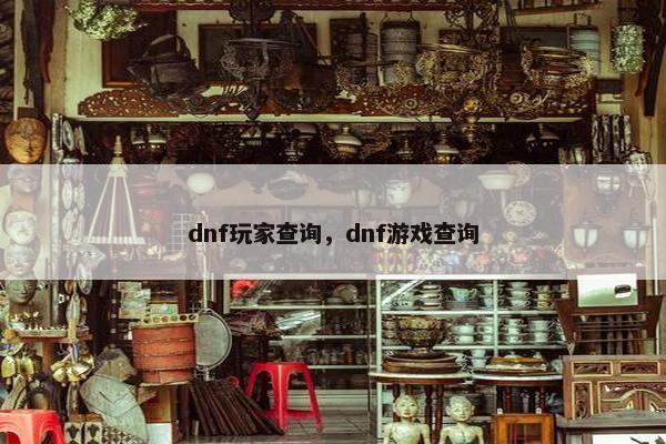 dnf玩家查询，dnf游戏查询