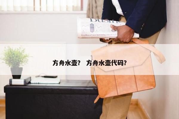 方舟水壶？ 方舟水壶代码？