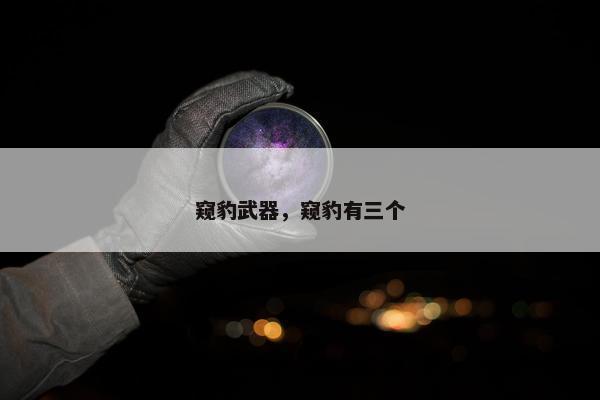 窥豹武器，窥豹有三个