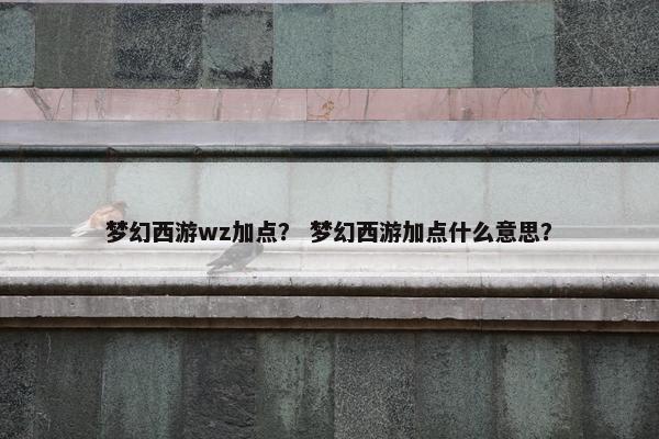 梦幻西游wz加点？ 梦幻西游加点什么意思？