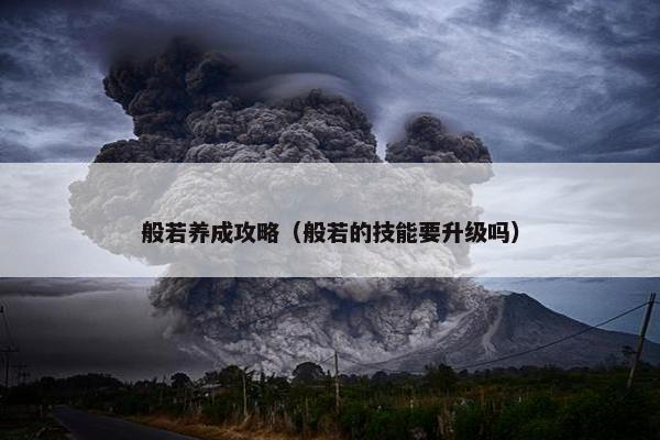 般若养成攻略（般若的技能要升级吗）