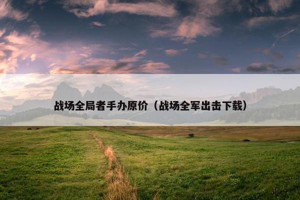战场全局者手办原价（战场全军出击下载）