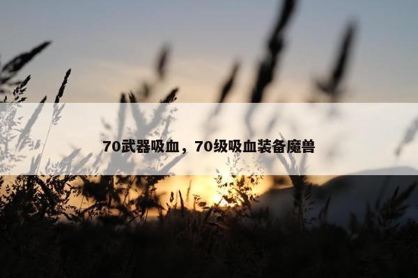 70武器吸血，70级吸血装备魔兽