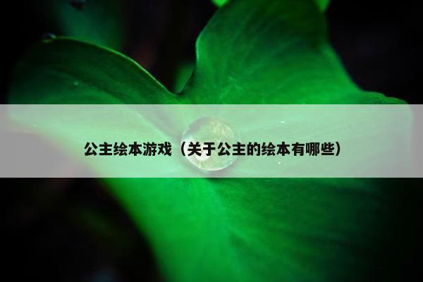 公主绘本游戏（关于公主的绘本有哪些）