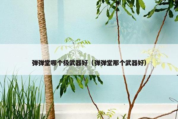 弹弹堂哪个极武器好（弹弹堂那个武器好）