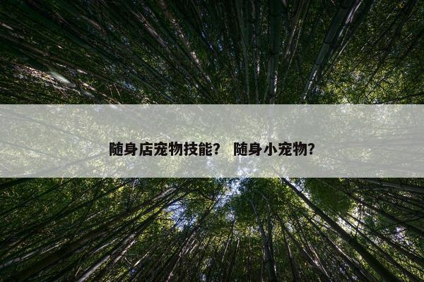 随身店宠物技能？ 随身小宠物？