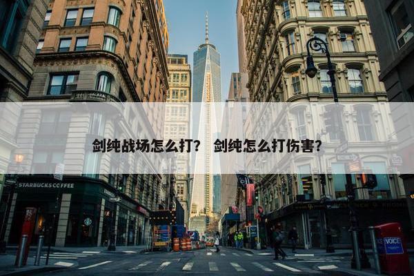 剑纯战场怎么打？ 剑纯怎么打伤害？