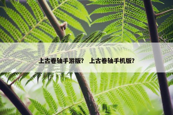 上古卷轴手游版？ 上古卷轴手机版？