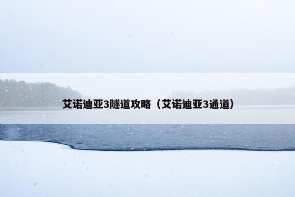 艾诺迪亚3隧道攻略（艾诺迪亚3通道）