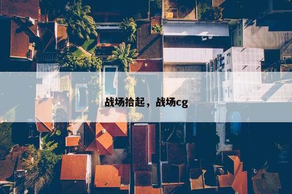 战场拾起，战场cg