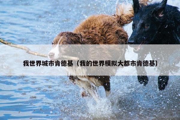 我世界城市肯德基（我的世界模拟大都市肯德基）
