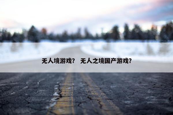 无人境游戏？ 无人之境国产游戏？