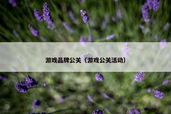 游戏品牌公关（游戏公关活动）