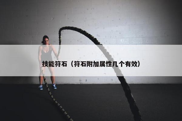 技能符石（符石附加属性几个有效）