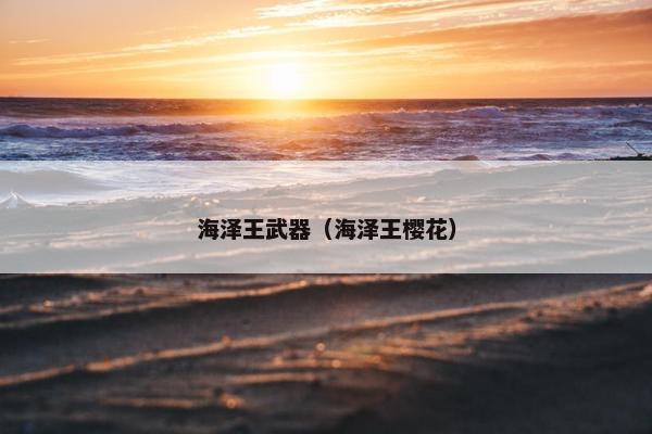 海泽王武器（海泽王樱花）