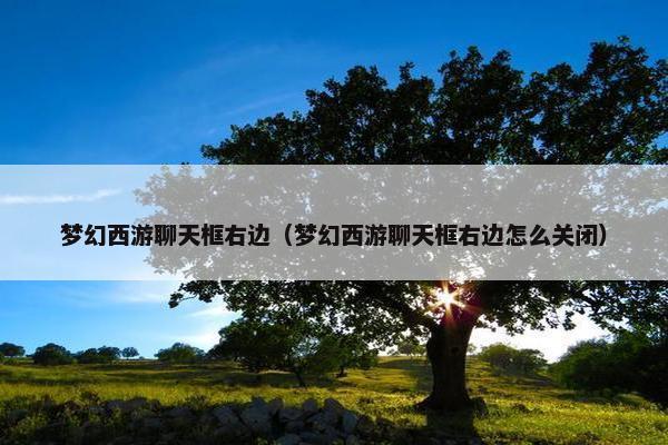 梦幻西游聊天框右边（梦幻西游聊天框右边怎么关闭）