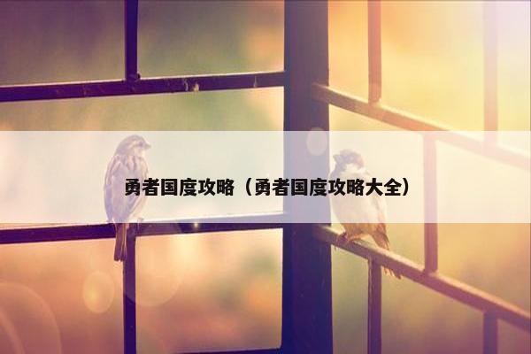 勇者国度攻略（勇者国度攻略大全）