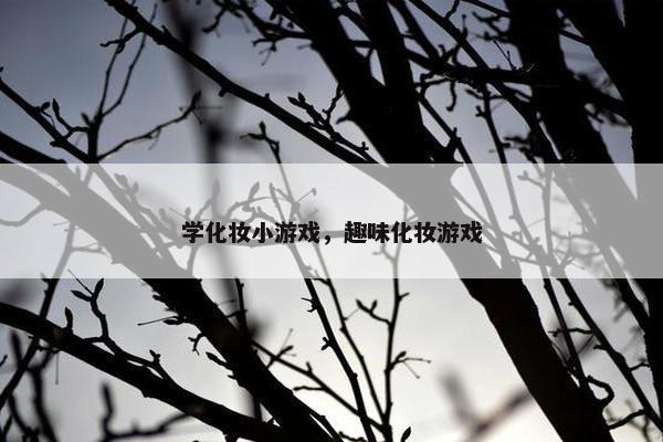 学化妆小游戏，趣味化妆游戏