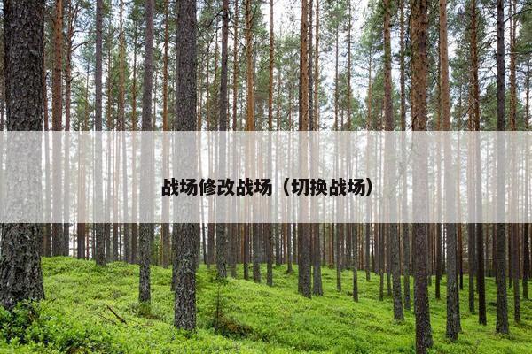 战场修改战场（切换战场）
