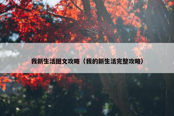 我新生活图文攻略（我的新生活完整攻略）