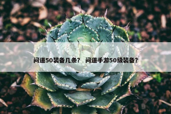 问道50装备几条？ 问道手游50级装备？