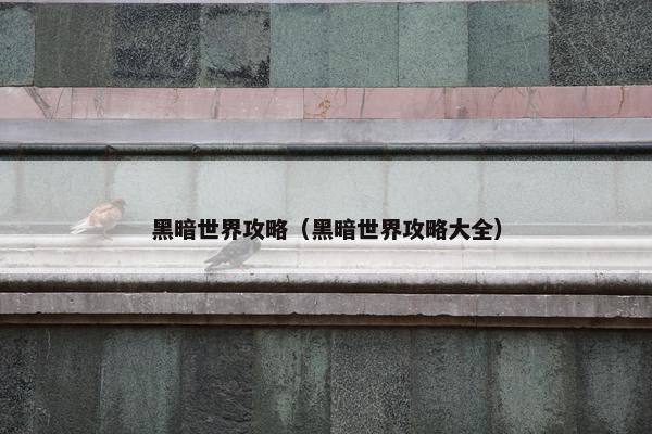 黑暗世界攻略（黑暗世界攻略大全）