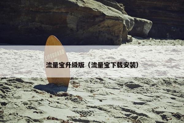 流量宝升级版（流量宝下载安装）