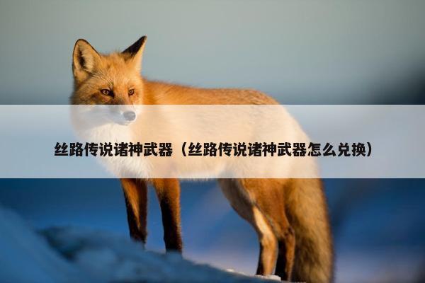 丝路传说诸神武器（丝路传说诸神武器怎么兑换）